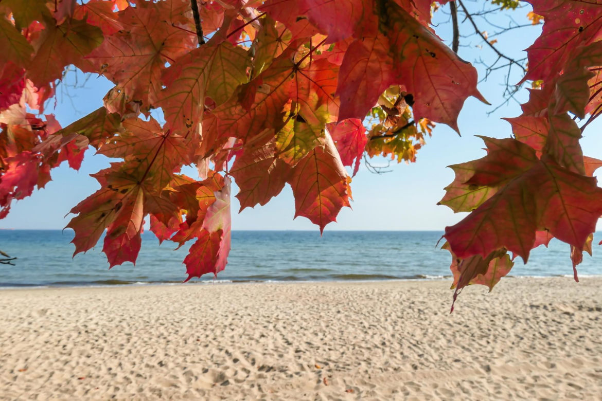 Plaża Sopot