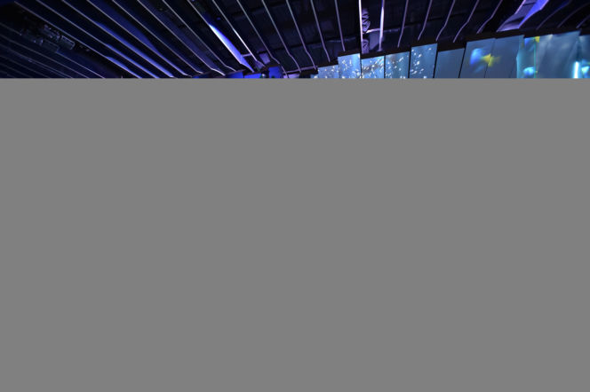 EXPO Kazachstan