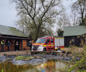 Interwencje Strażaków przy likwidacji szkód spowodowanych przez gwałtowny wiatr i burze