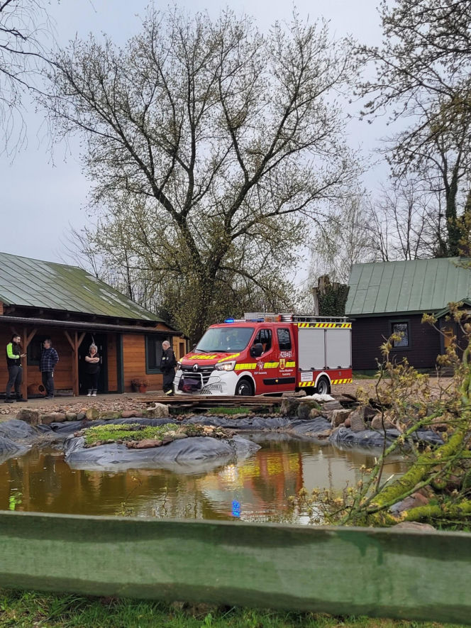 Interwencje Strażaków przy likwidacji szkód spowodowanych przez gwałtowny wiatr i burze