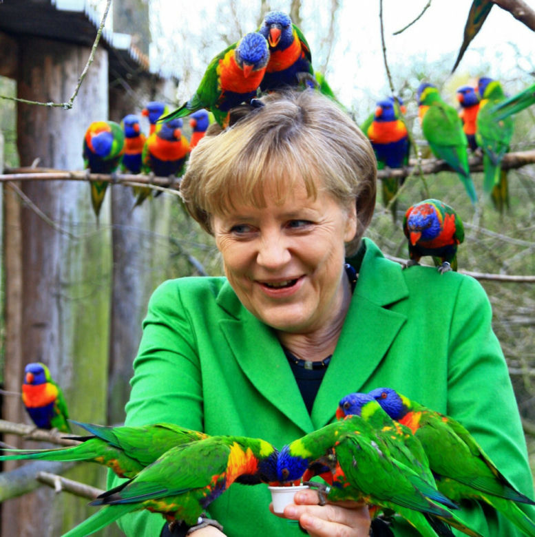 Merkel obsiadły papugi