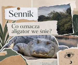 Aligator we śnie: znaczenie snu i najczęstsze interpretacje