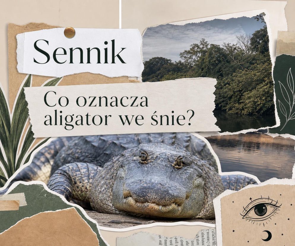 Aligator - znaczenie snu