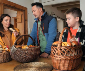 Barwy szczęścia odc. 3326