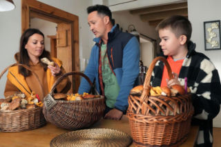 Barwy szczęścia odc. 3326