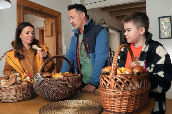 Barwy szczęścia odc. 3326