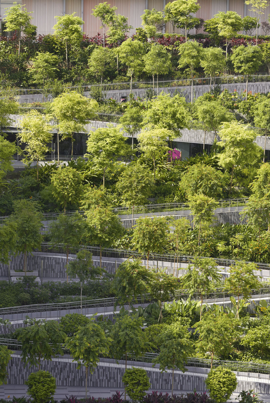 Oasis Terraces w Singapurze