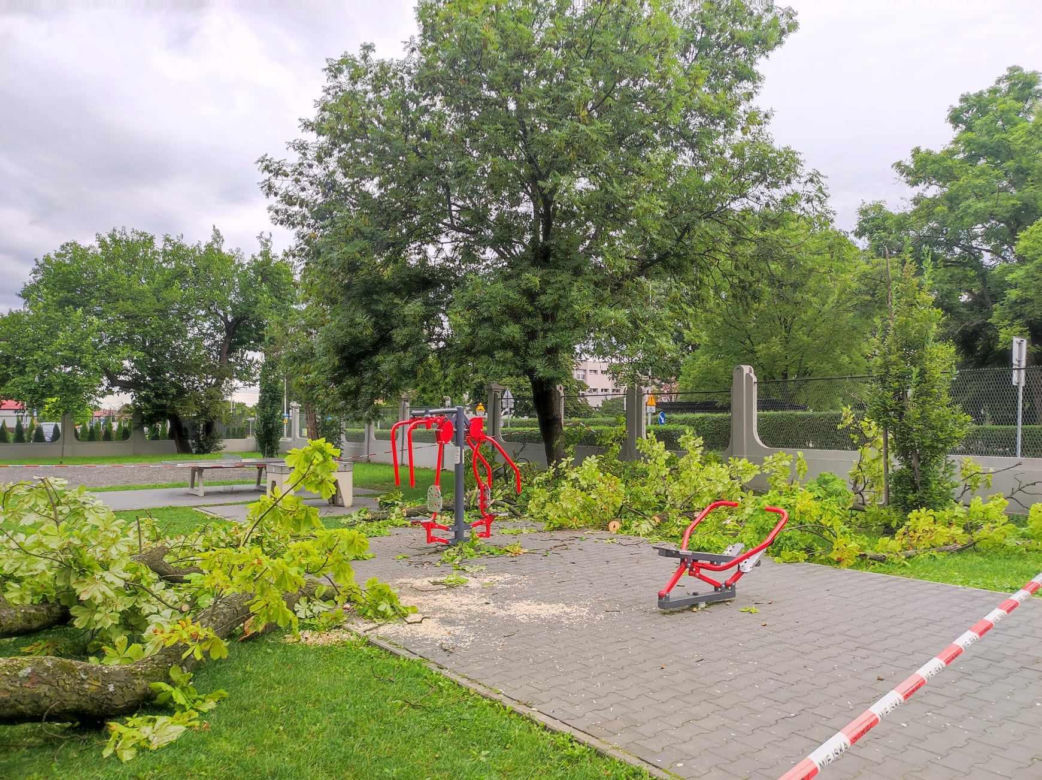 Tarnów. Dziewczynka uderzona przez zerwany konar. Koszmar na placu zabaw w Parku Strzeleckim