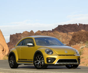 Volkswagen Beetle Dune