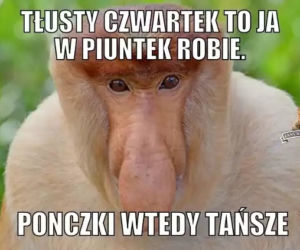 Memy na tłusty czwartek 2024 [GALERIA]