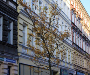 Remont ulicy Jagiellońskiej