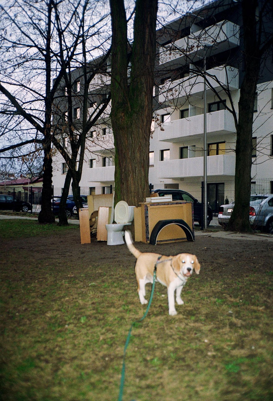 Miasto do mieszkania