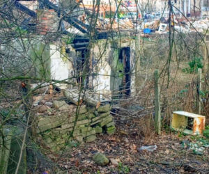 Torowa rewolucja: wycinka drzew na pętli Pomorzany i likwidacja działek