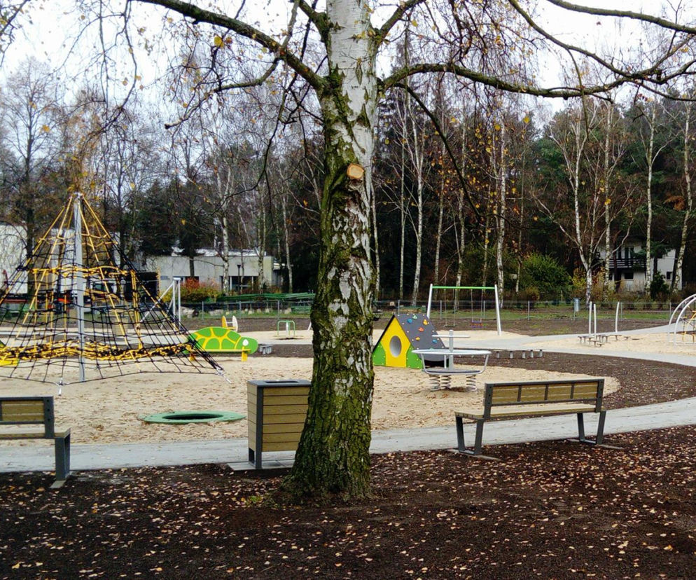 Plażojada gotowa