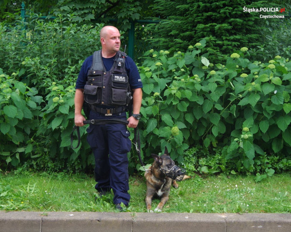 Jarika, suczka owczarka belgijskiego, po latach pracy w policji przeszła na emeryturę