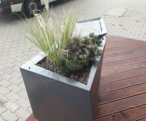 Parklety w centrum Lublina
