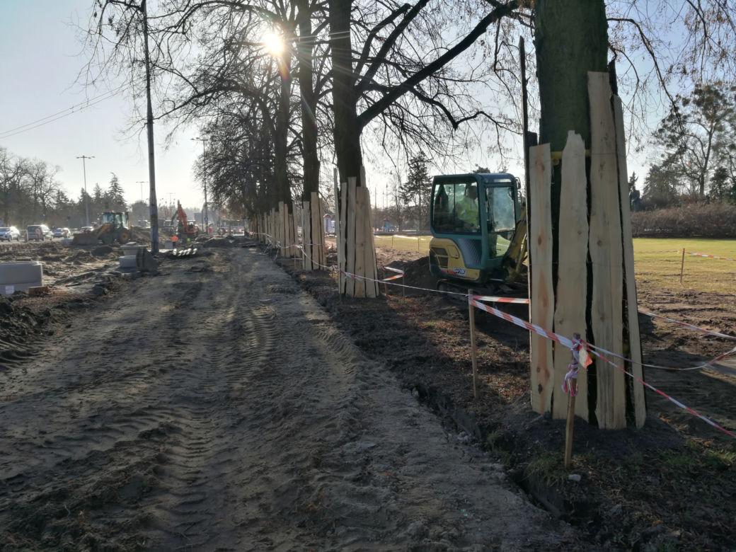 Toruń. Aura sprzyja drogowcom na al. św. Jana Pawła II! Przesadzono drzewa 