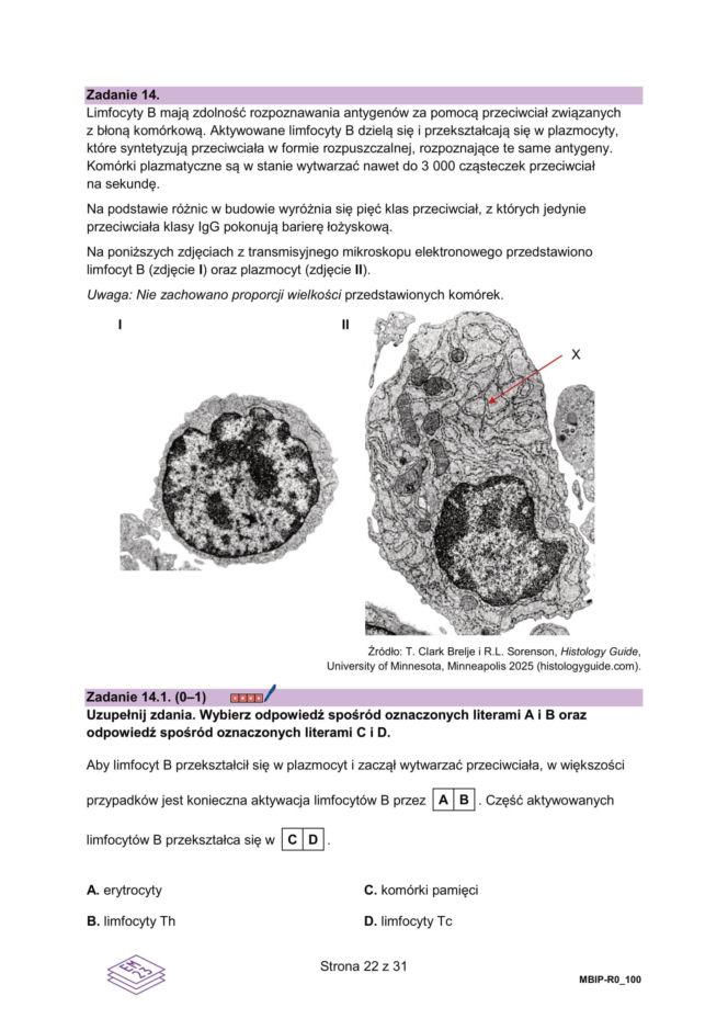 Arkusze matura próbna z biologii 14.01.2026