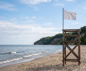 Sinice Jastrzębia Góra. Czy w Jastrzębiej Górze można się kąpać 20.08? Flaga, warunki pogodowe