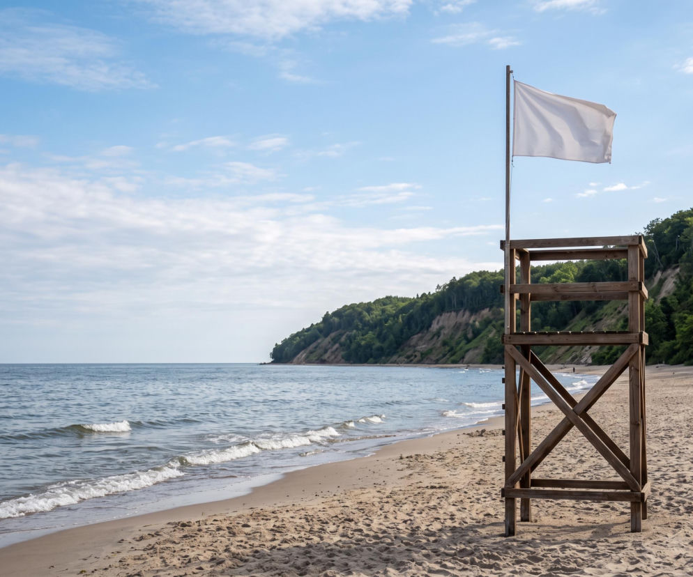 Sinice Jastrzębia Góra. Czy w Jastrzębiej Górze można się kąpać 20.08? Flaga, warunki pogodowe