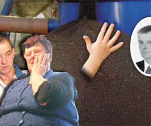 Nasz syn utopił się w rzepaku