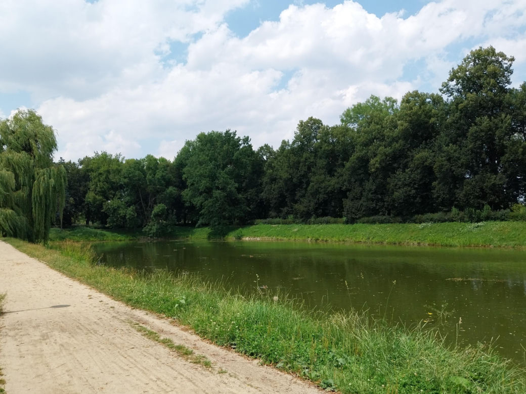Lato w Parku miejskim w Zamościu 