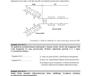 Matura 2019 z biologii [ARKUSZE CKE, ODPOWIEDZI]