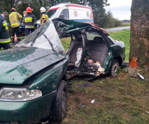 Poddębice. Finał podróży na drzewie, z audi została miazga! Cud, że wyszedł z TEGO żywo!