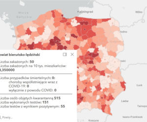 Koronawirus w województwie śląskim. Tak wygląda sytuacja w poszczególnych powiatach [RAPORT, 19 MARCA]