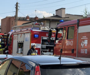 2-latka utonęła na terenie żłobka