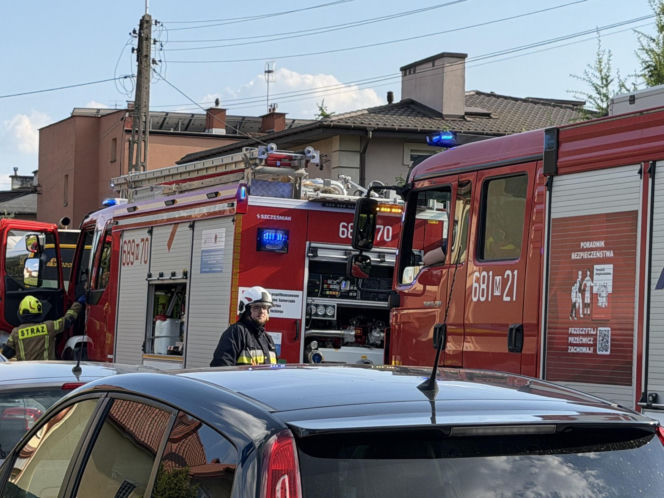 2-latka utonęła na terenie żłobka