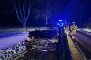 Powiat siedlecki: zderzenie auta osobowego z łosiem w Kolonii Mordy
