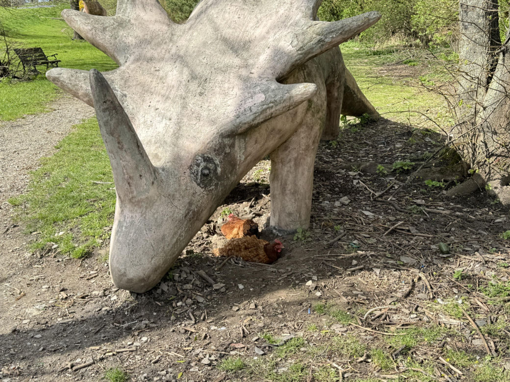 W Łęcznej znajdziecie najdziwniejszych park jurajski w Polsce. Zobacz zdjęcia!