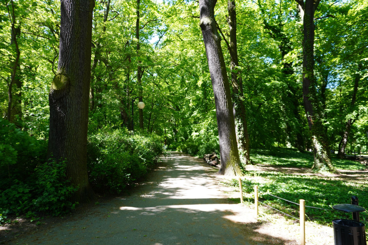 Park Sołacki w maju 2024