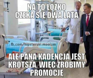 7 memów na 7 lat rządów Donalda Tuska
