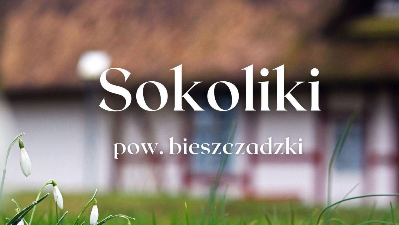  Opuszczone wsie na Podkarpaciu. Czemu nikt już tutaj nie mieszka? 