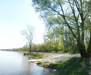 Gdzie się opalać w stolicy? Podpowiadamy najciekawsze plaże w Warszawie i okolicach! [GALERIA]