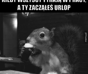 Urlop: memy