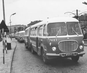 Nowe muzeum w Warszawie. 100 lat historii MZA 