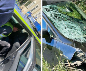 Nie żyje 45-letni rowerzysta. Policja zatrzymała obywatela Ukrainy 