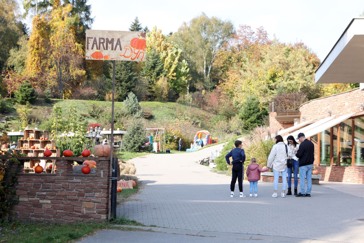 Farma dyń w Lublinie