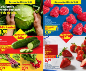 Grillowanie z Lidlem