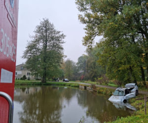 Przez lisa wpadł autem do staw