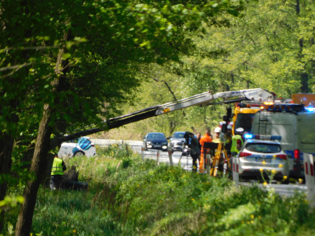 Tragiczny początek majówki na Mazowszu. Nie żyją dwie osoby. Jaguar uderzył w drzewo 