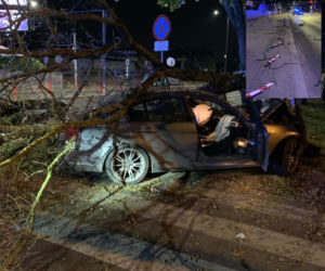 Nocny rajd. BMW skasował kilkanaście słupków, znaki i ogrodzenie i drzewo