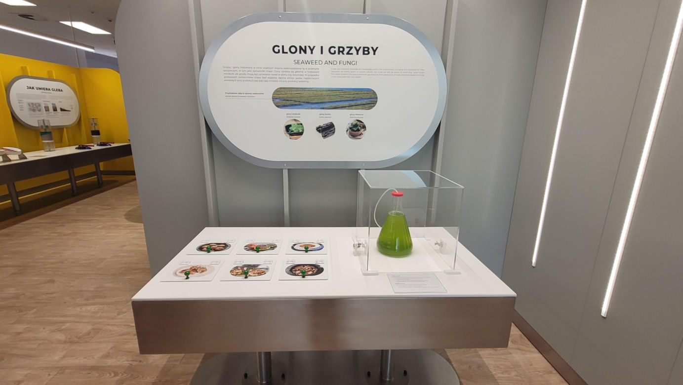 Wielkie otwarcie Centrum Nauki „Kortosfera”. „Jesteśmy dla wszystkich” [ZDJĘCIA]