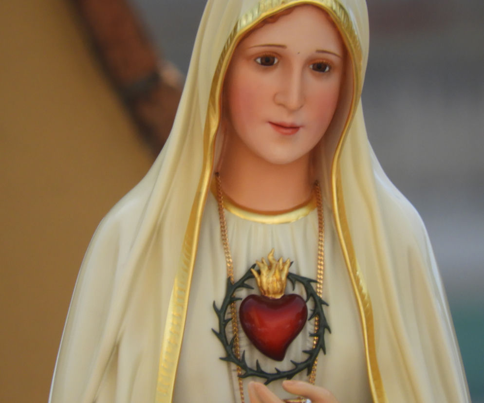 Maria serce niepokalane serce marii matka boska