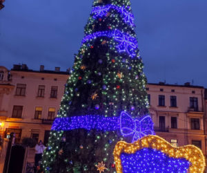 Tarnów. Świąteczna iluminacja już rozbłysła. Tak wygląda choinka na pl. Kazimierza