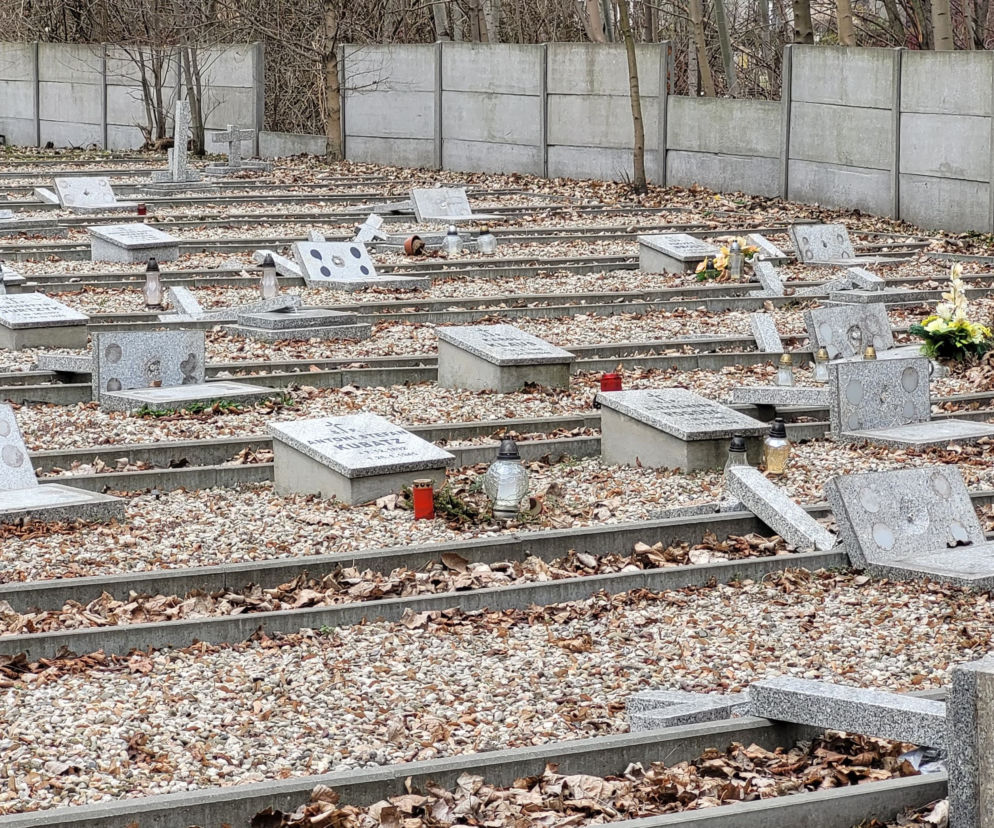 Mysłowice. Zdewastowany cmentarz przy ul. Oświęcimskiej