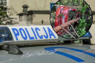 Po policyjnym pościgu uderzył w drzewo. To przewróciło się na radiowóz